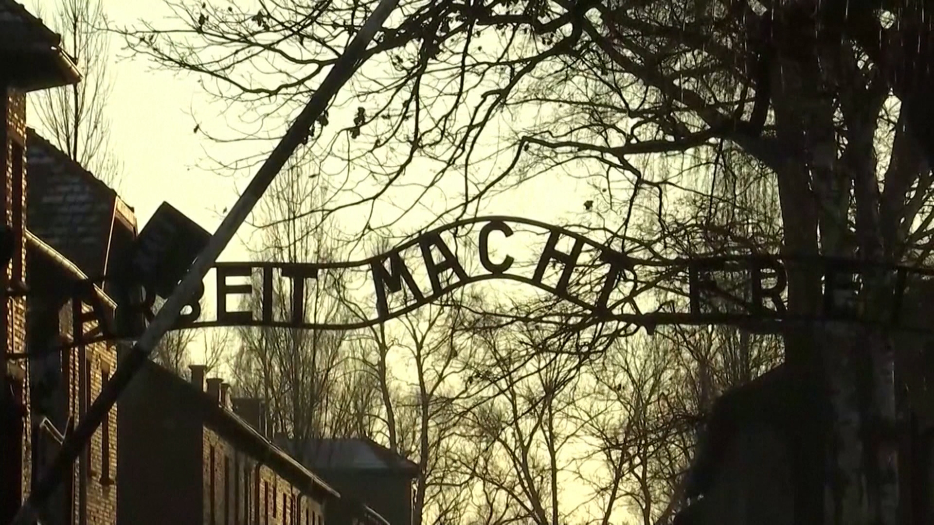 AUSCHWITZ