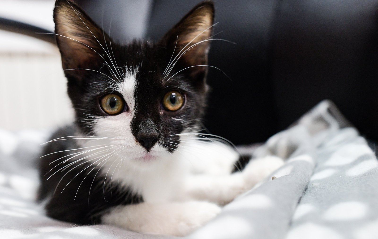 PIXSELL/Sandra Simunovic