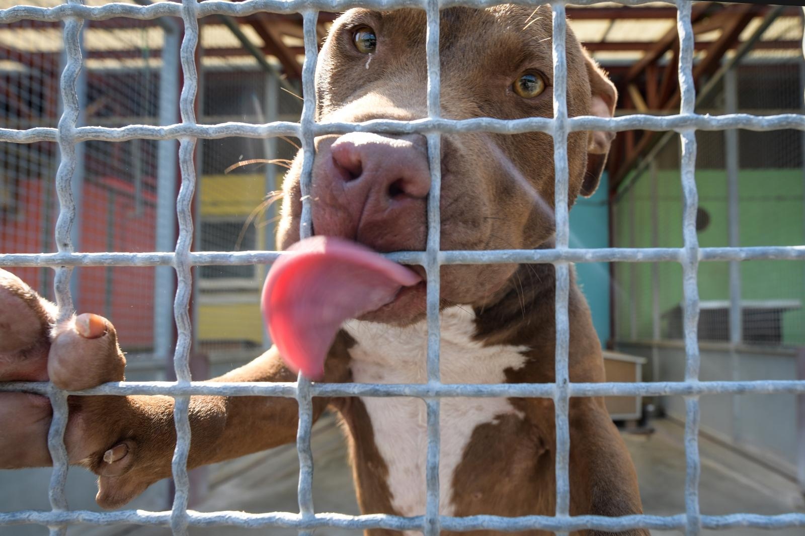 Sandra Simunovic/PIXSELL