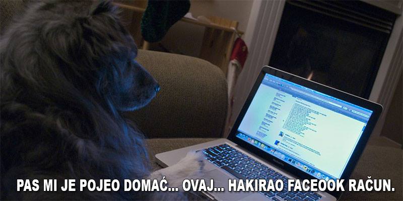 B6qs1yOIAAMPCXn.jpg large