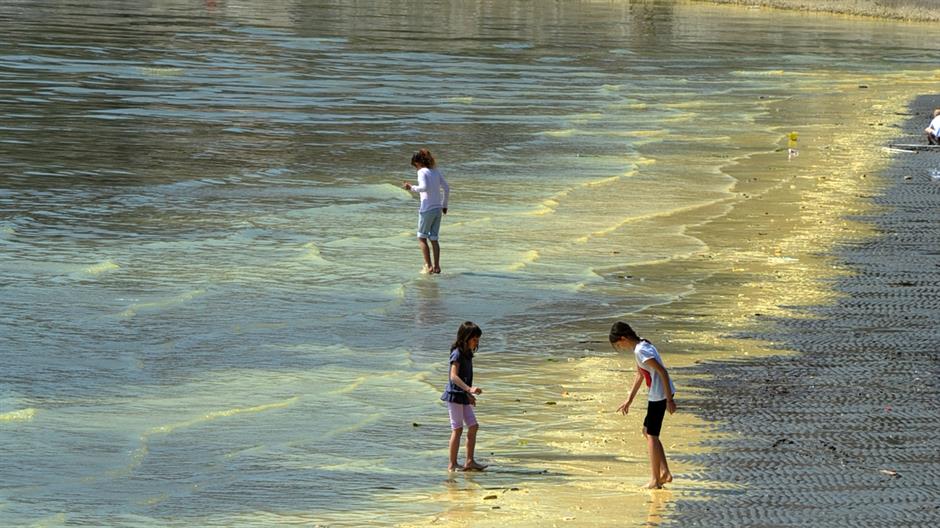 bacice_zutilo12-120415