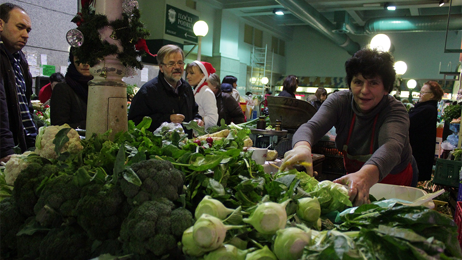 Anadolija/Stipe Mayiç