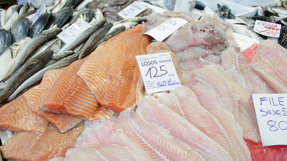 Anadolija/Stipe Mayiç