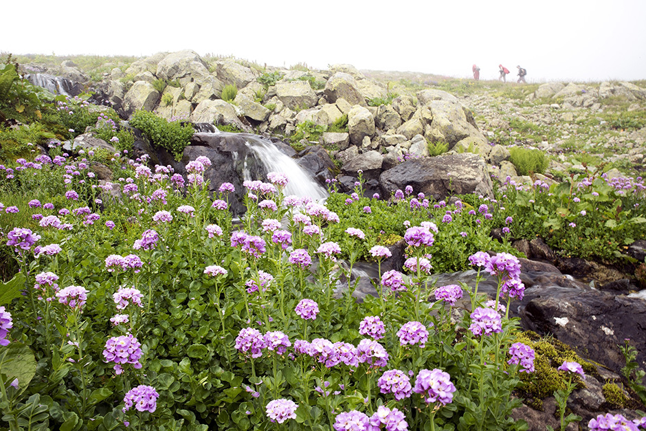 ANADOLIJA/Murat Öner TAŞ