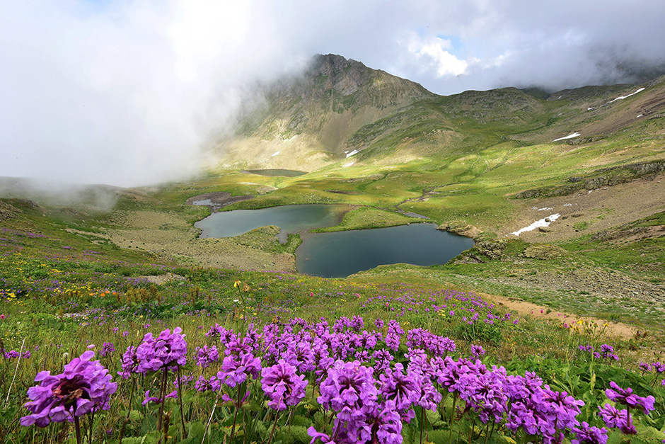 ANADOLIJA/Murat Öner TAŞ