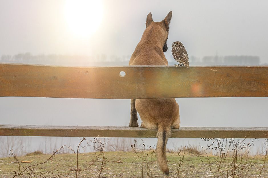 Tanja Brandt