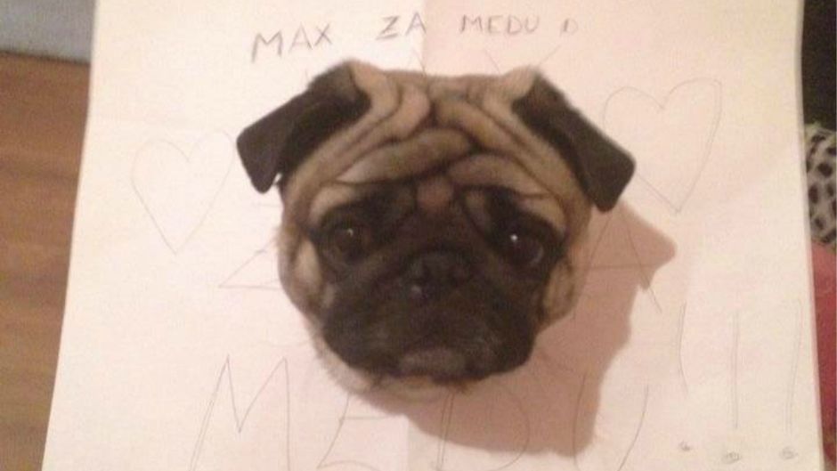 BeFunky_10943640_595336103934313_5199557179167333080_n