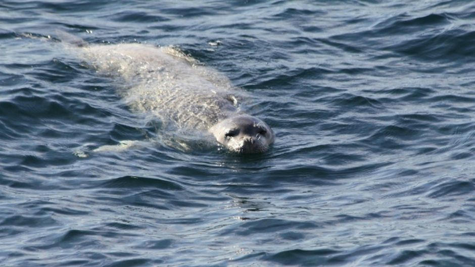 BeFunky_dzzp201207061315430