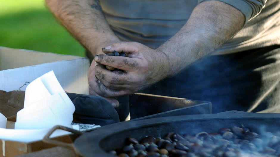 Cropix/Damir Krajač