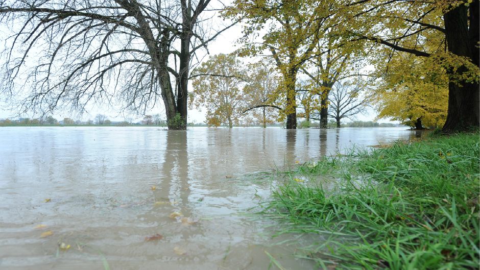 Cropix/Damir Krajač