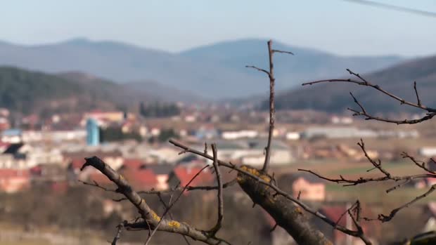 Bernardić došao u Liku uoči izvanrednih izbora