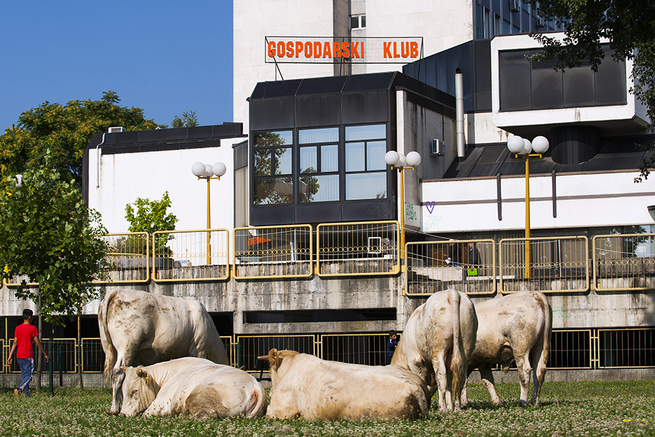 CROPIX/Tomislav Krišto