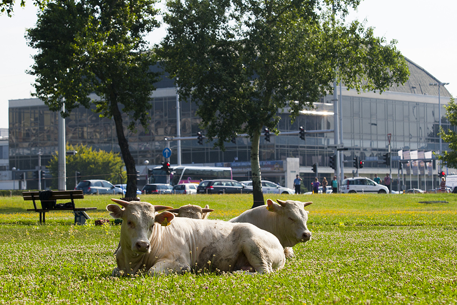 CROPIX/Tomislav Krišto