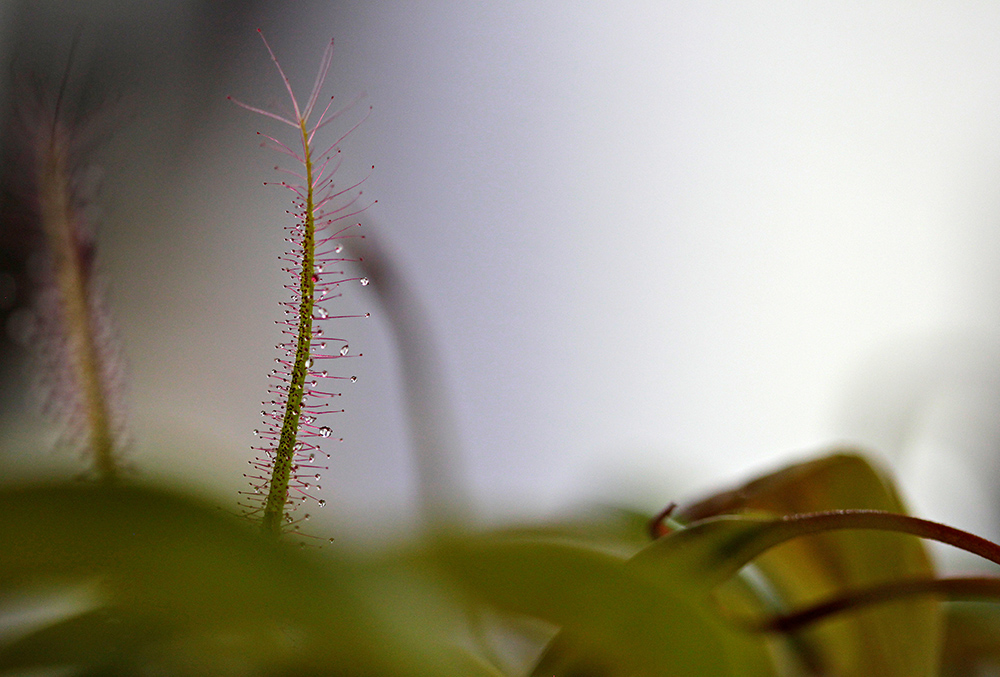 REUTERS/Luisa Gonzalez