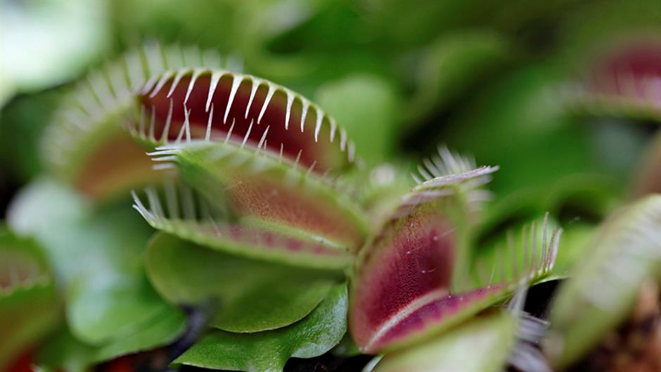 REUTERS/Luisa Gonzalez