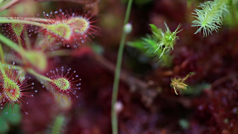 REUTERS/Luisa Gonzalez