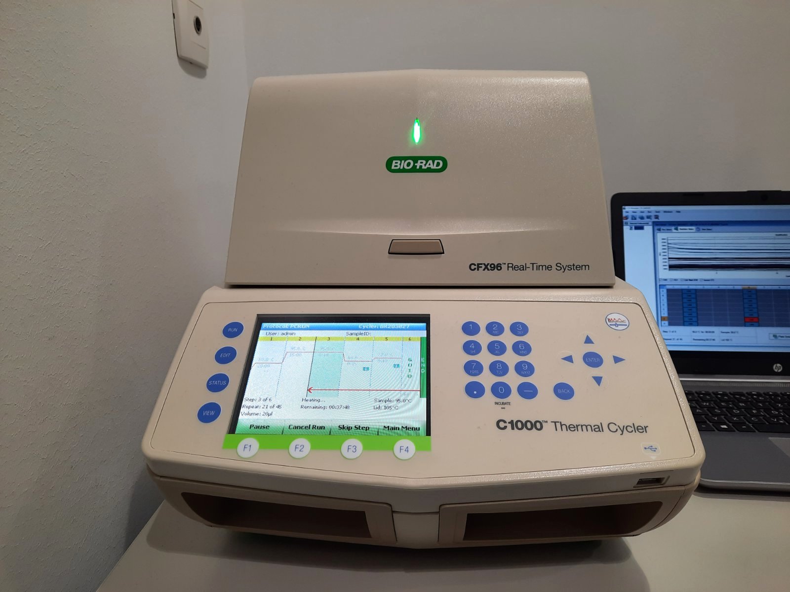 molekularna dijagnostika, dijagnostika