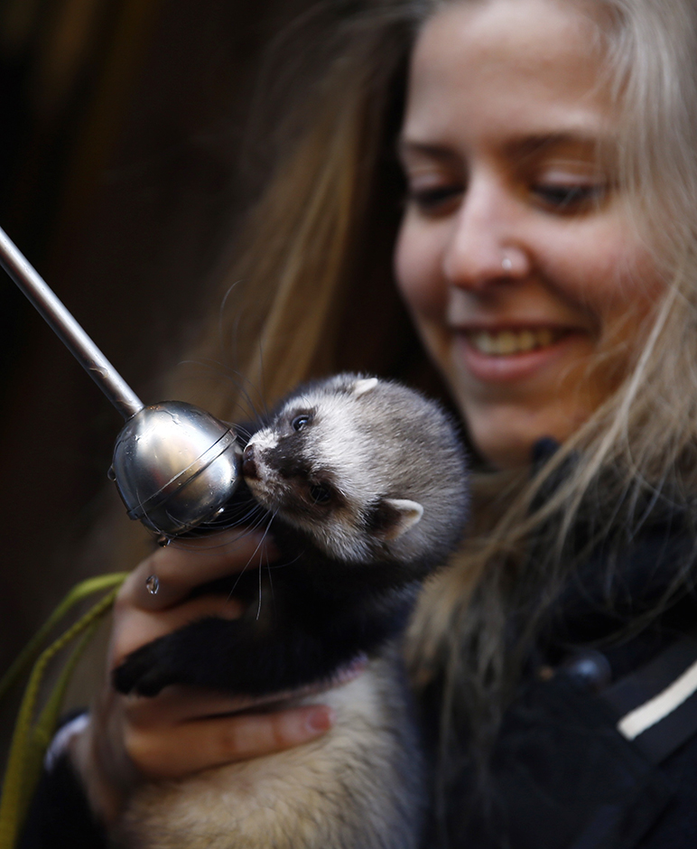 REUTERS/Sergio Perez