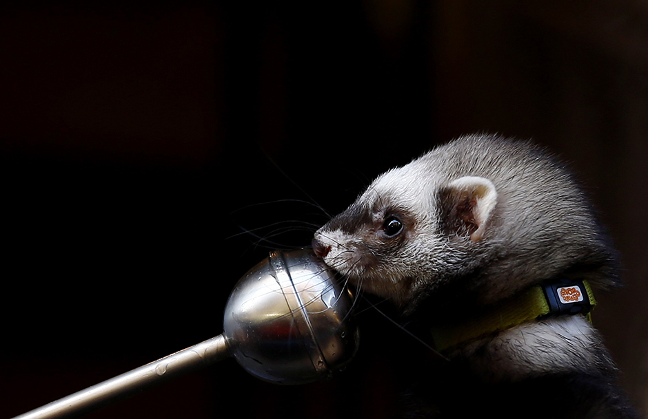 REUTERS/Sergio Perez