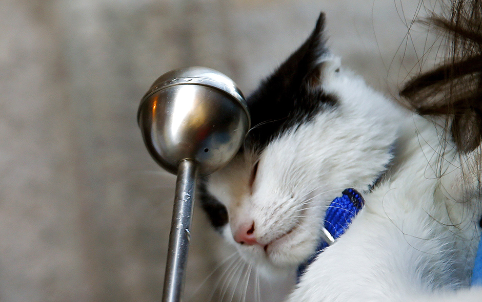 REUTERS/Sergio Perez