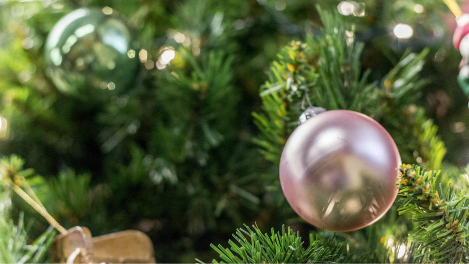 bozic_bozicnodrvo_morguefile