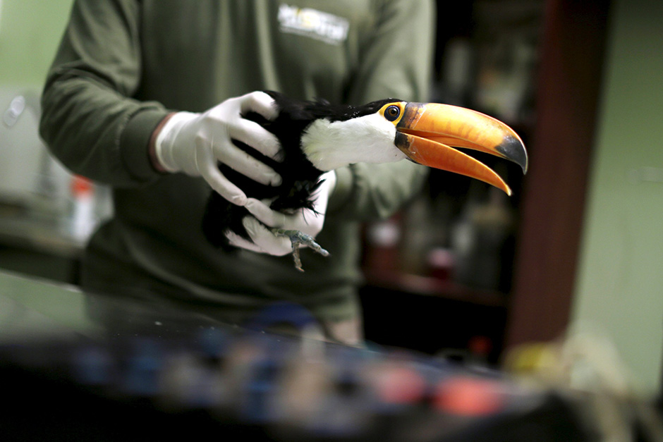 REUTERS/Ueslei Marcelino