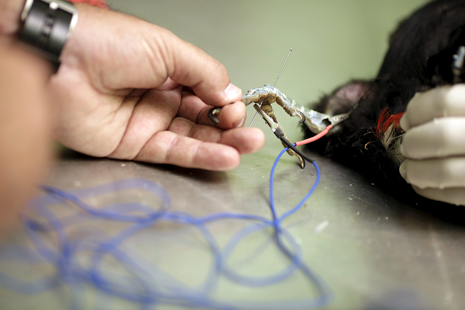 REUTERS/Ueslei Marcelino