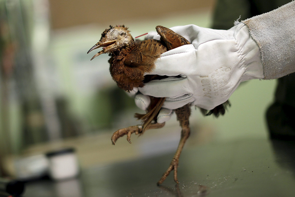 REUTERS/Ueslei Marcelino