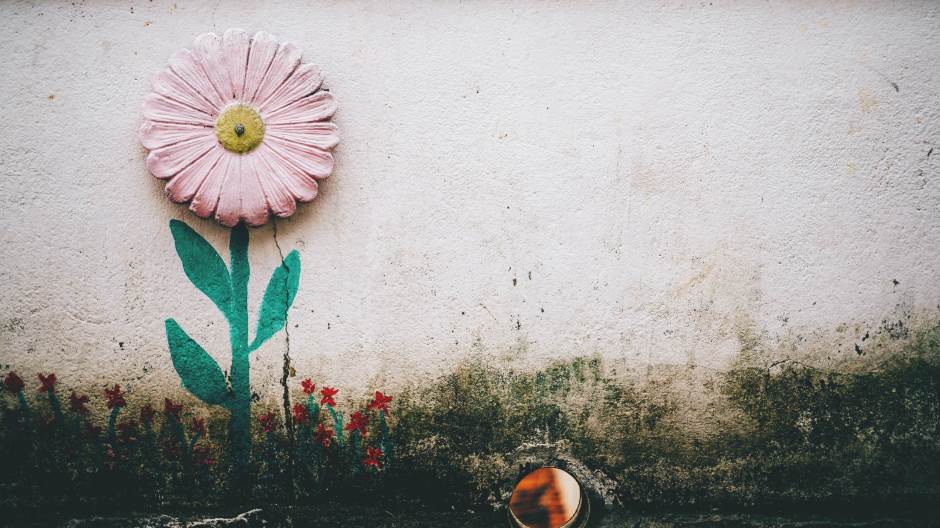 bruno-nascimento-8CSsTu-7iOM-unsplash