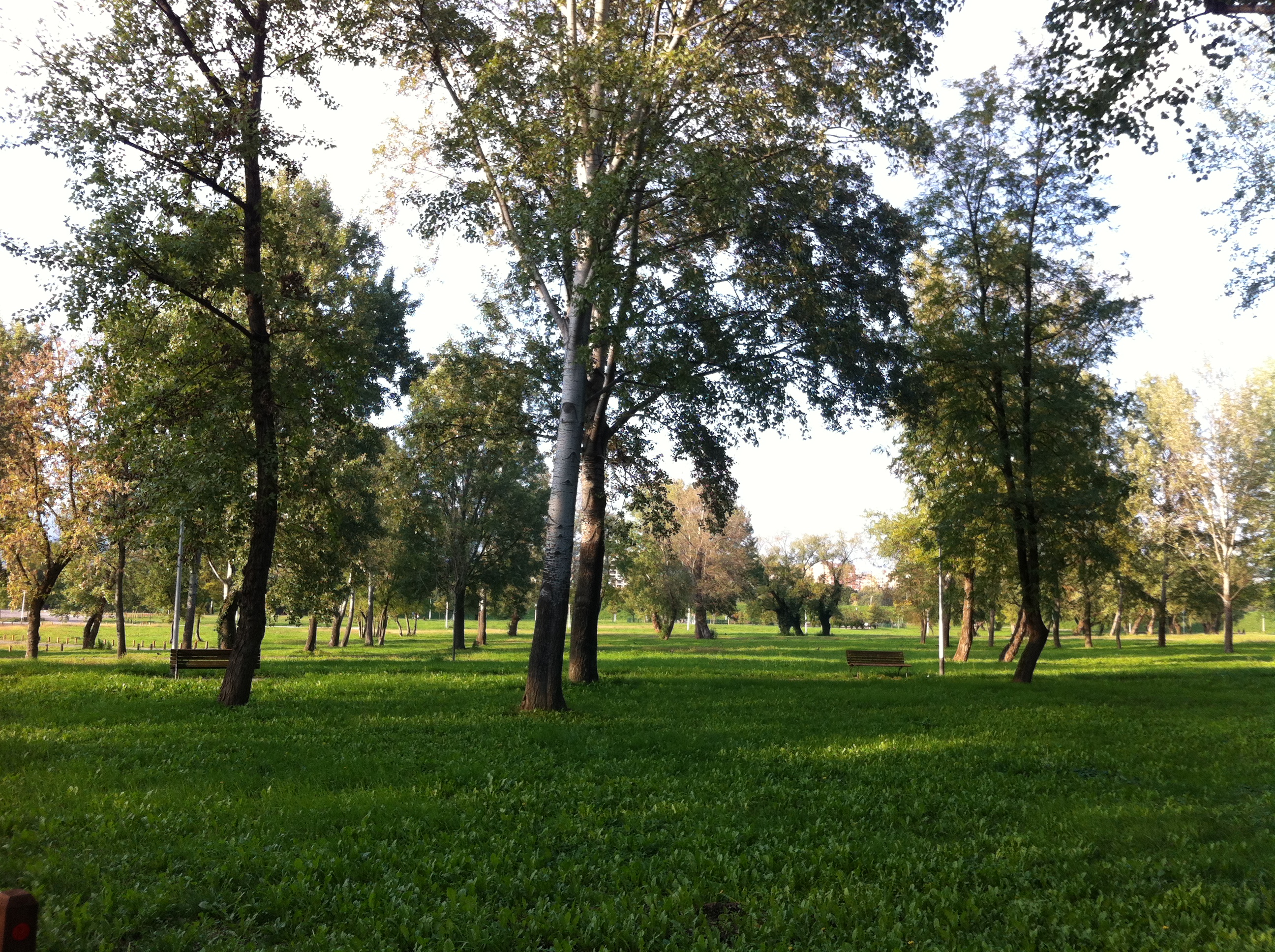 Andreja Žapčić / N1