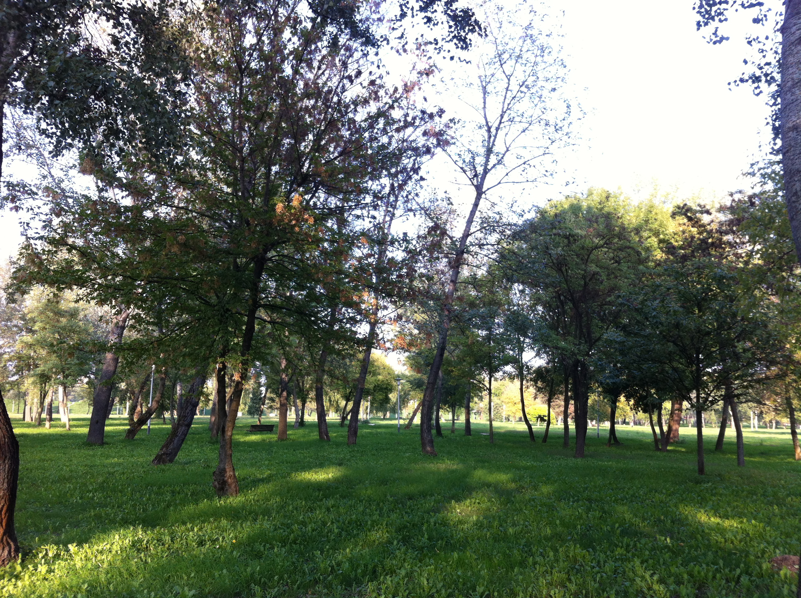 Andreja Žapčić / N1