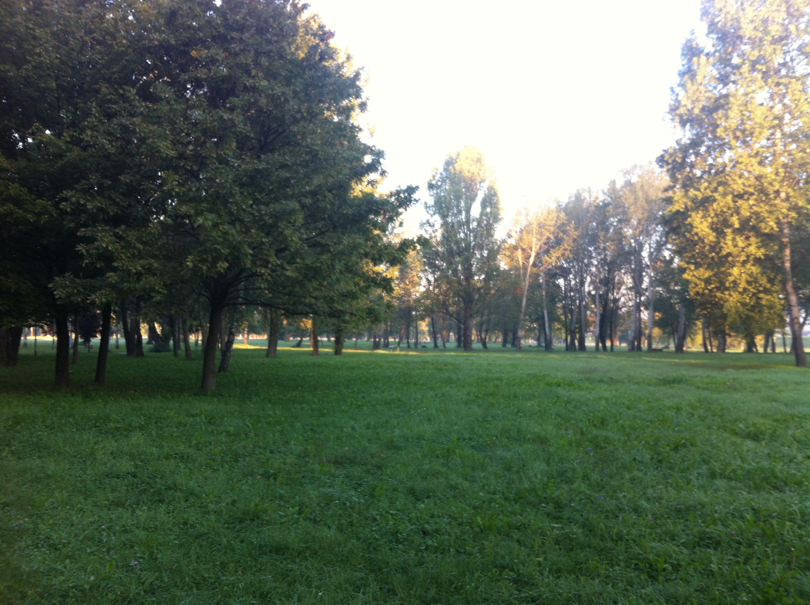 Andreja Žapčić / N1