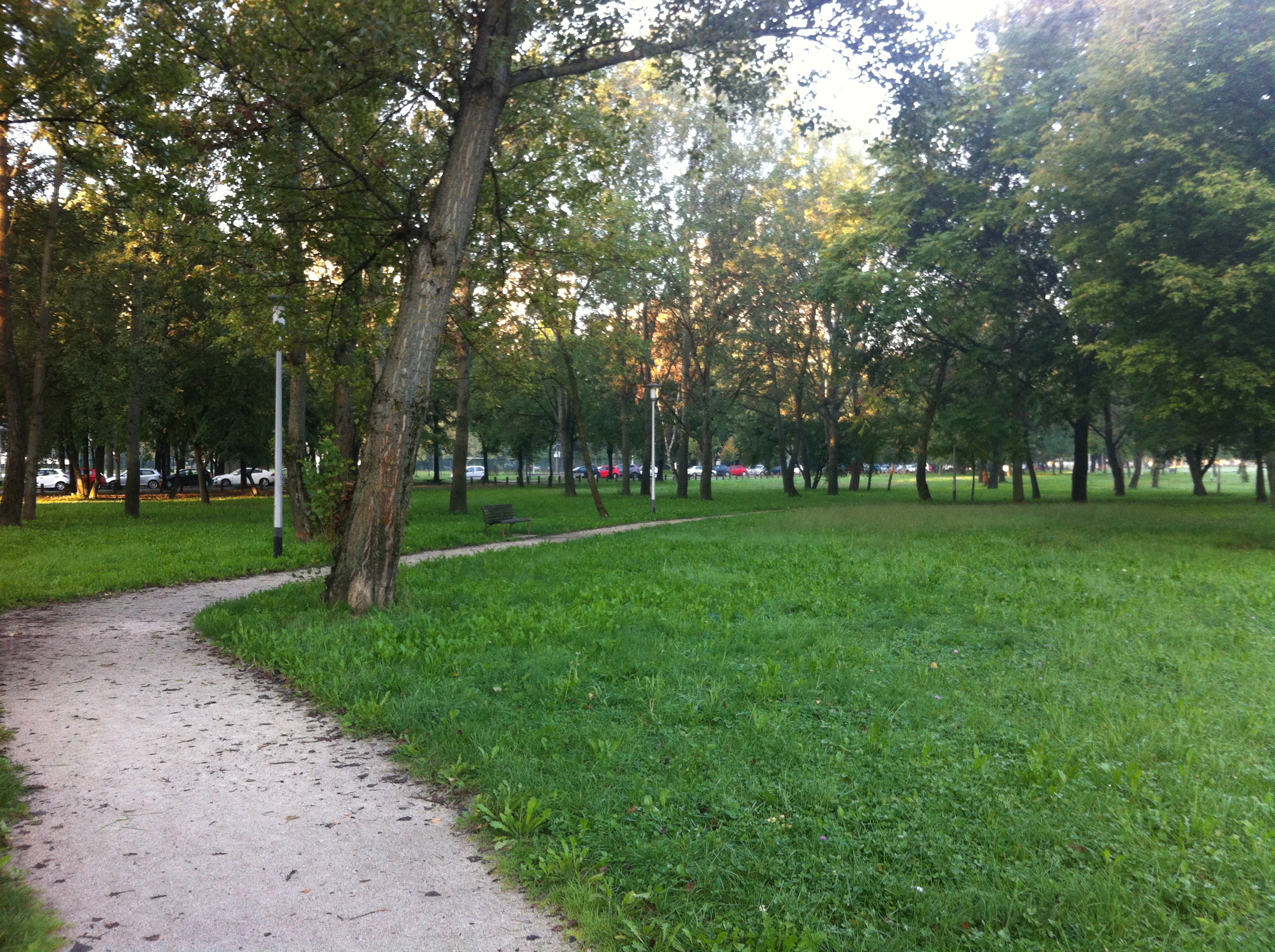 Andreja Žapčić / N1