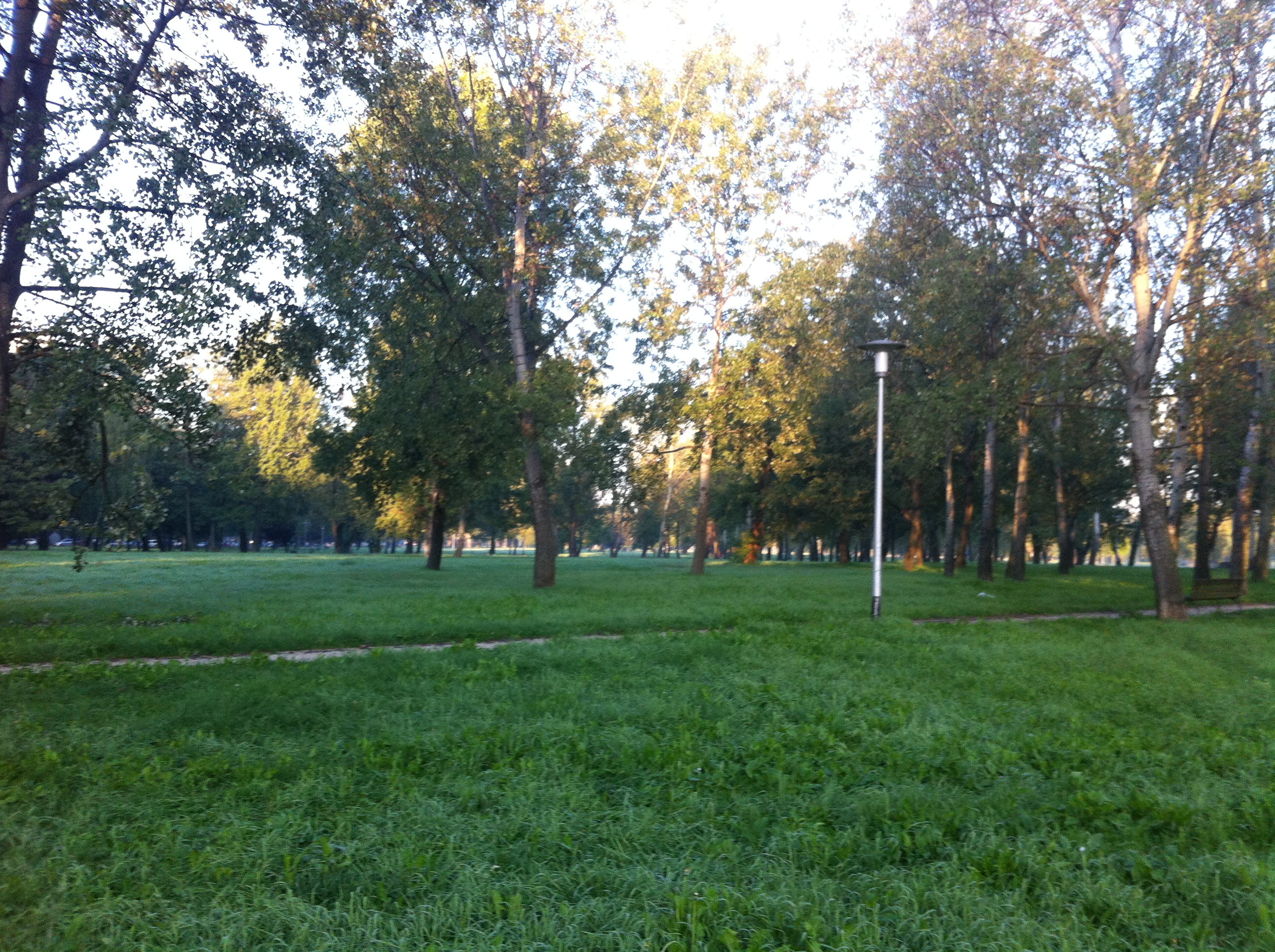 Andreja Žapčić / N1