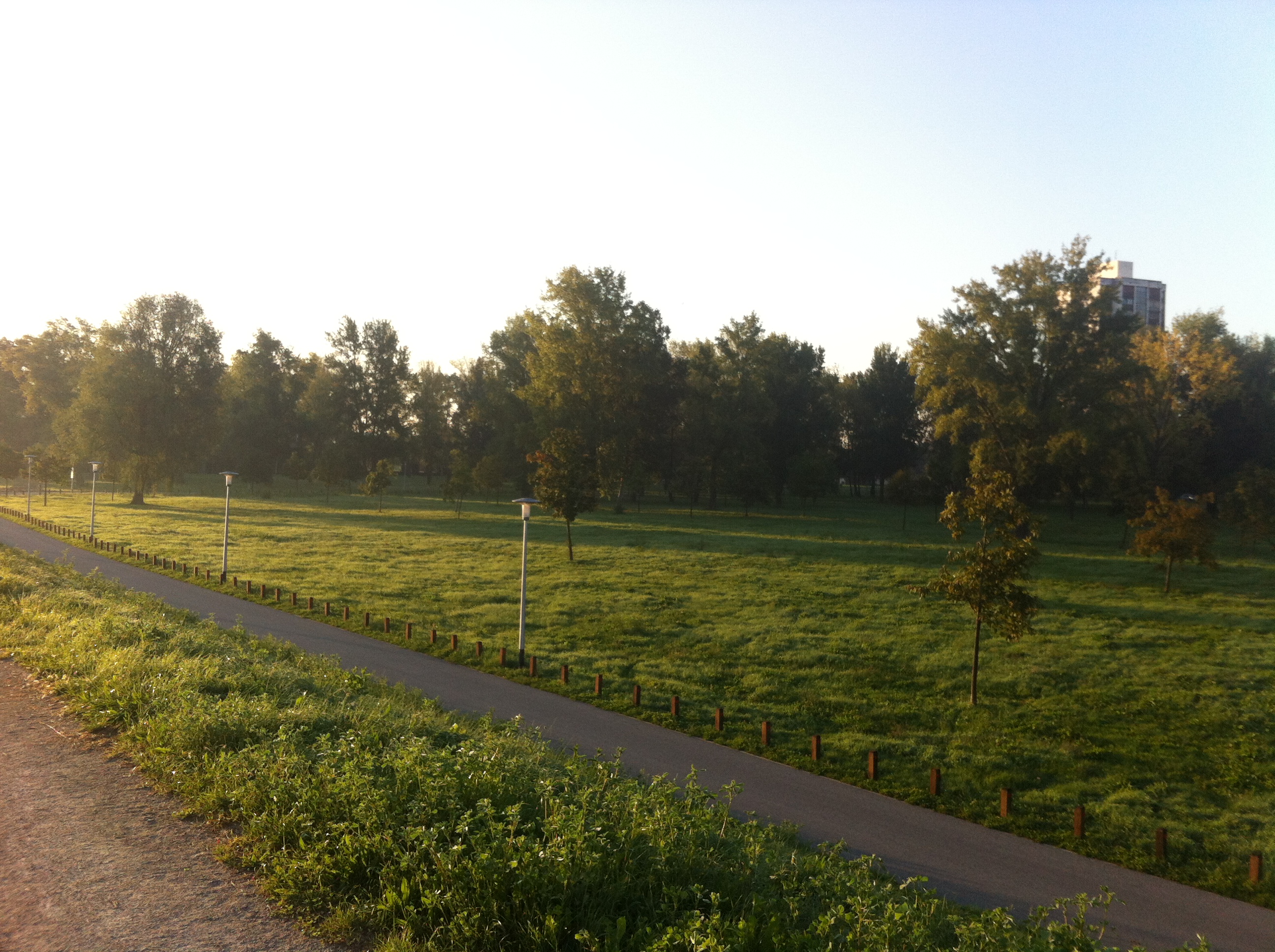 Andreja Žapčić / N1