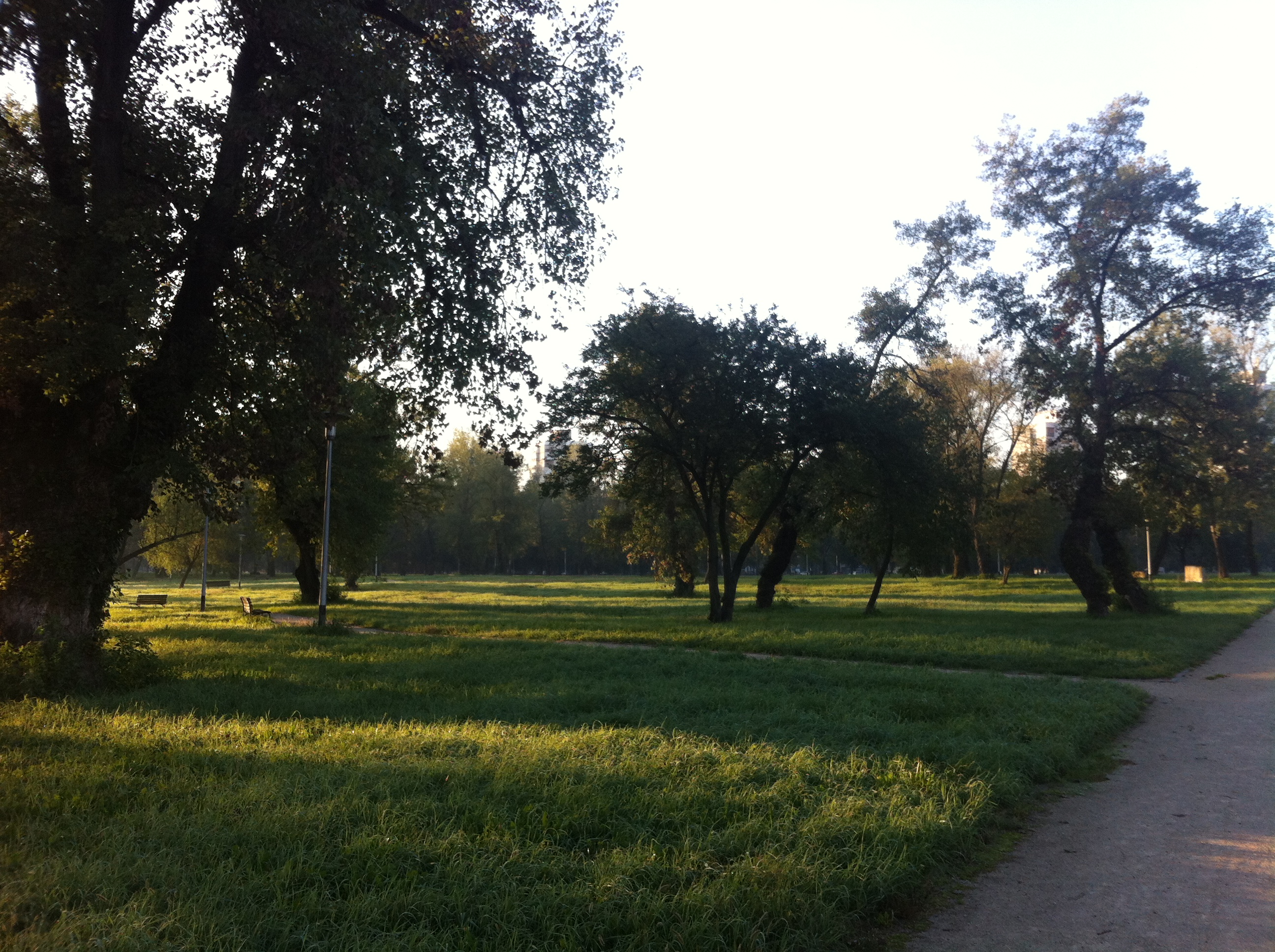 Andreja Žapčić / N1