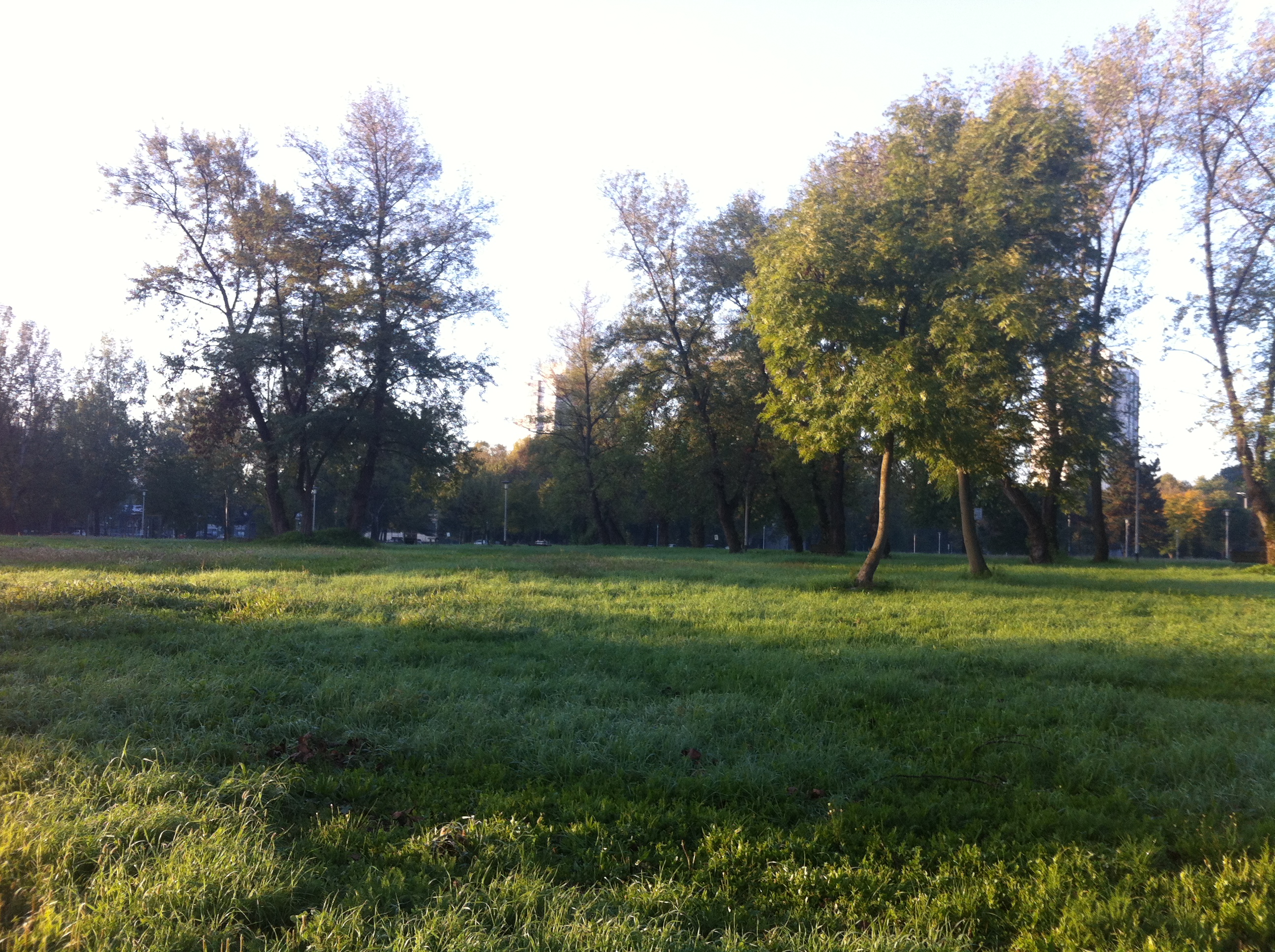 Andreja Žapčić / N1