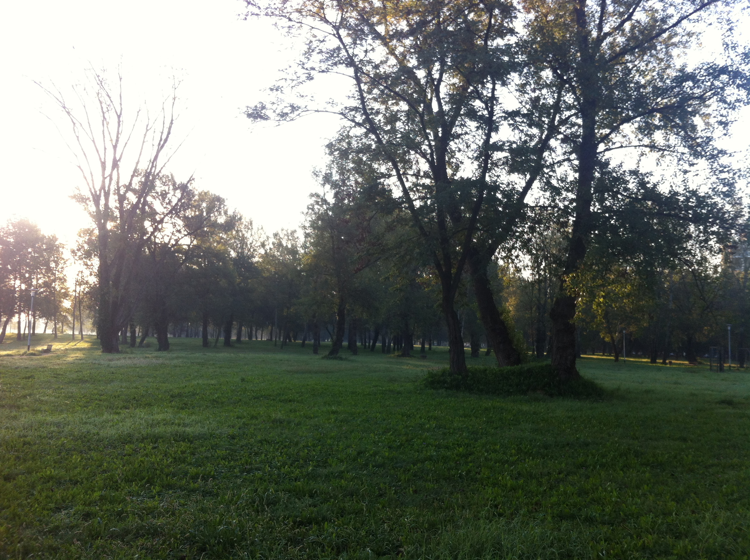 Andreja Žapčić / N1