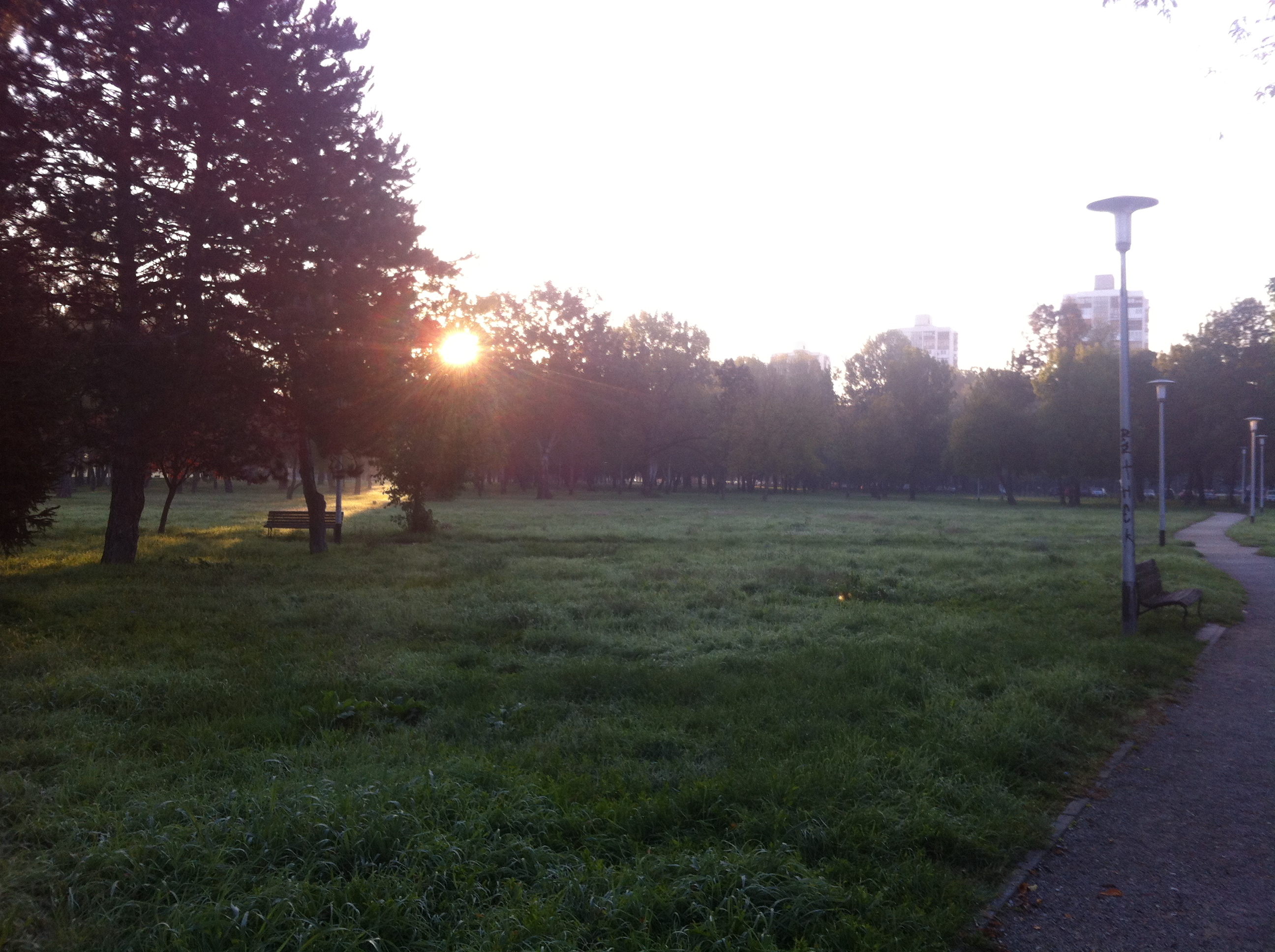 Andreja Žapčić / N1