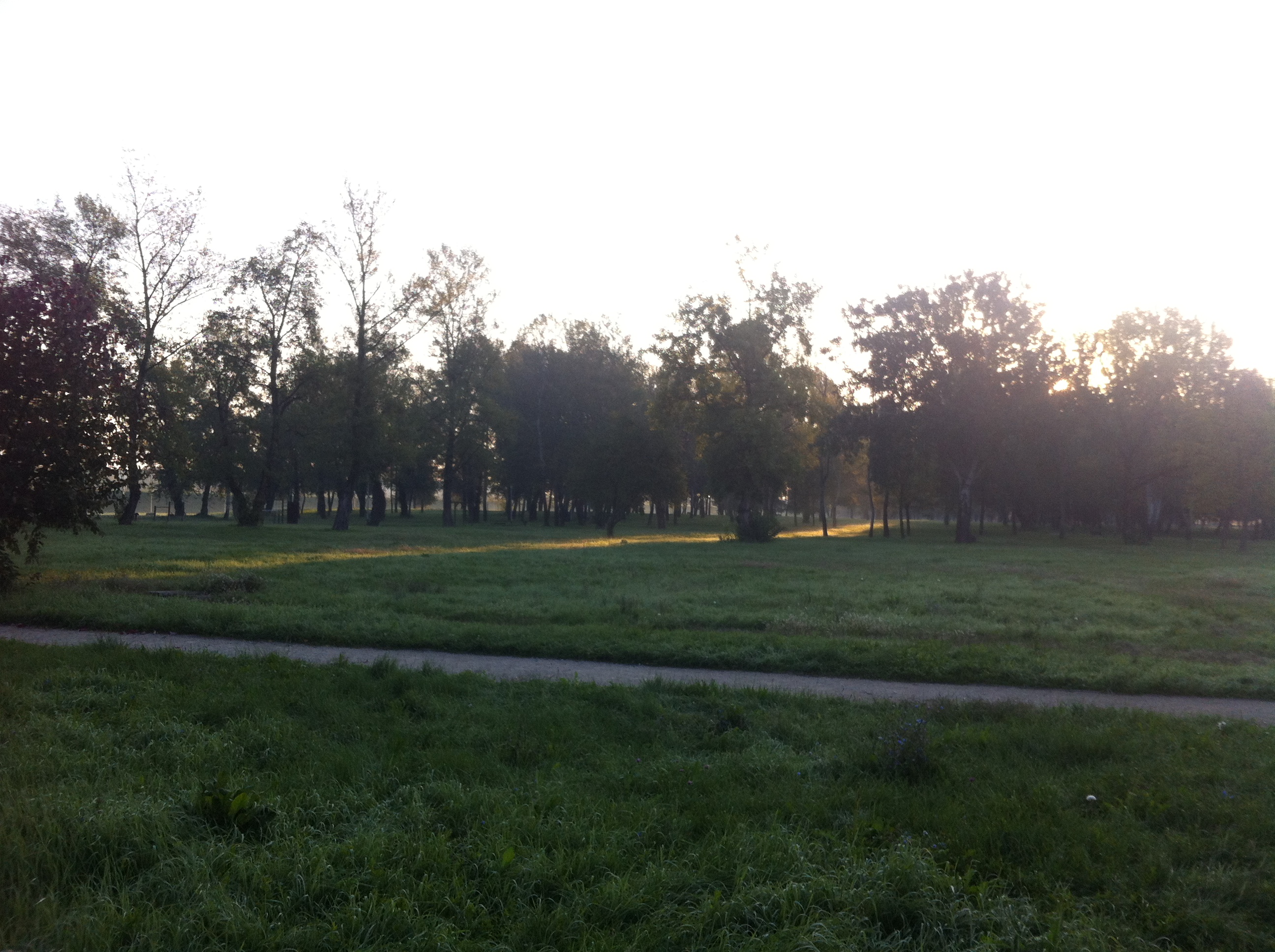 Andreja Žapčić / N1