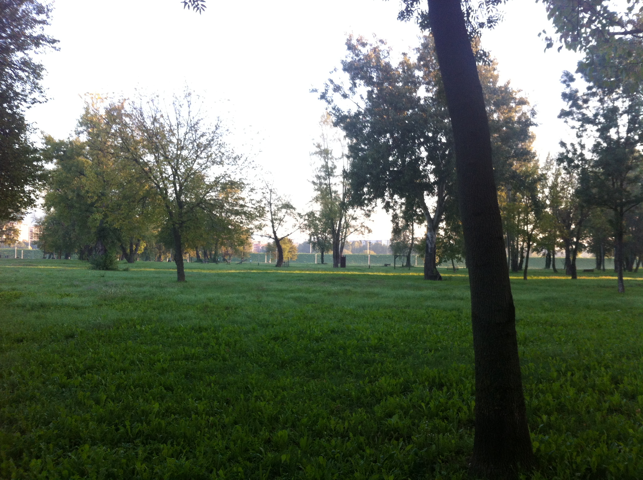 Andreja Žapčić / N1