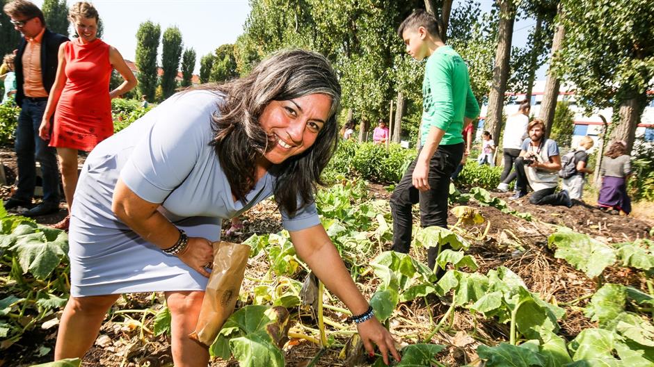 (c) Christian Fürthner _PID