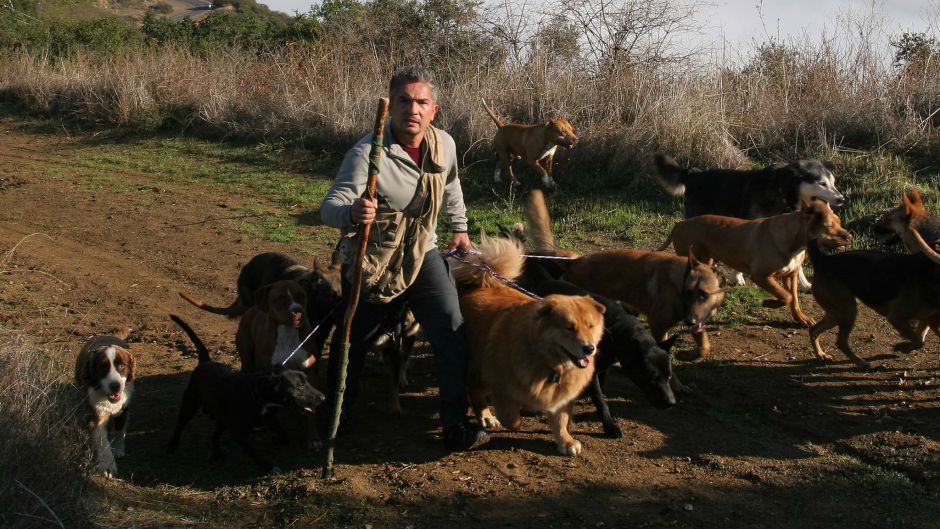 cesar_millan_facebook