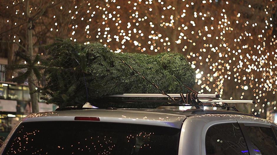 christmas-1018112_1920