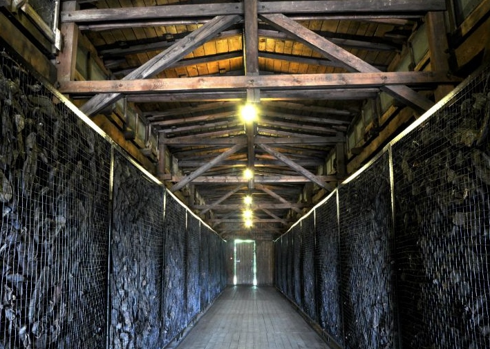 cipele logor MAJDANEK STATE MUSEUM VIA PAP