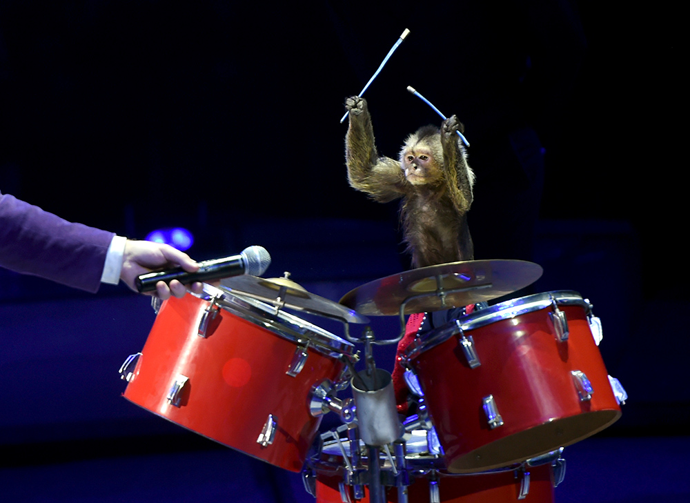 Cirkus SERGEI SUPINSKY (6)