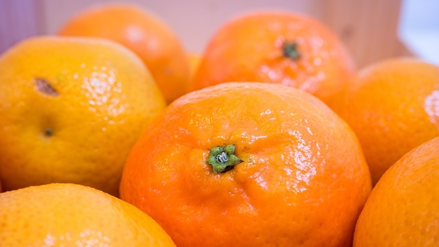 clementines-1045860_640