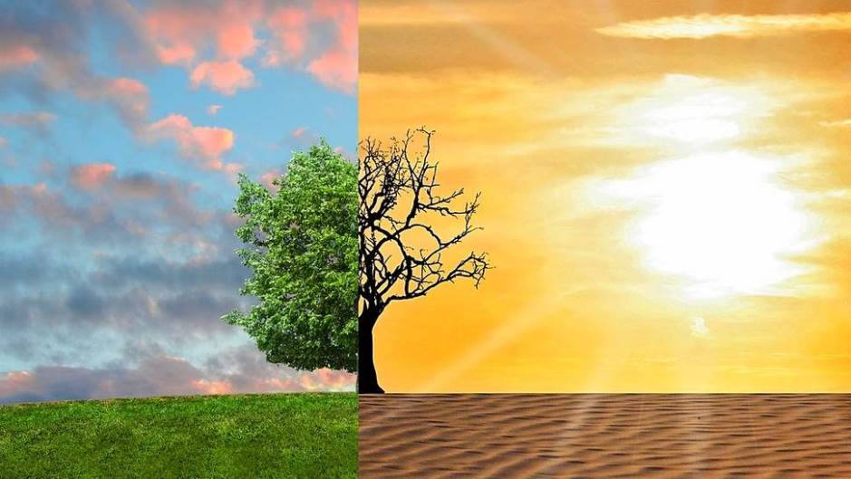 climate-change-2063240_1280