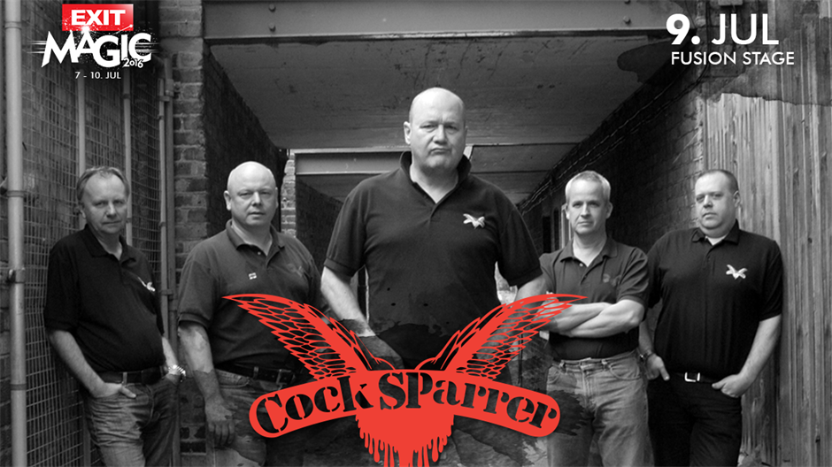 Cocksparrer 1