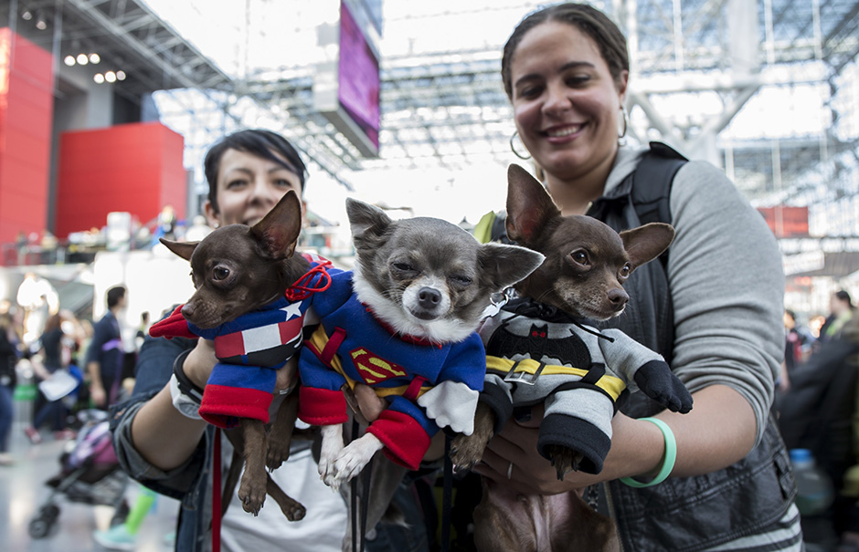 ANADOLIJA/Bilgin S. Sasmaz